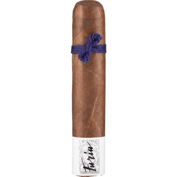 Furia Alecto - Short Robusto